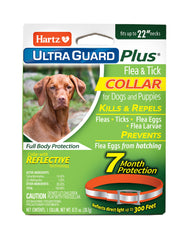 Hartz UltraGuard Plus orange collar on a dog's neck for flea and tick protection