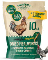 Hatortempt bulk dried mealworms in a 10 lb bag for poultry and birds.