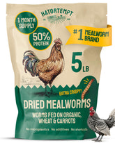 Hatortempt dried mealworms in a bag for easy storage and feeding.