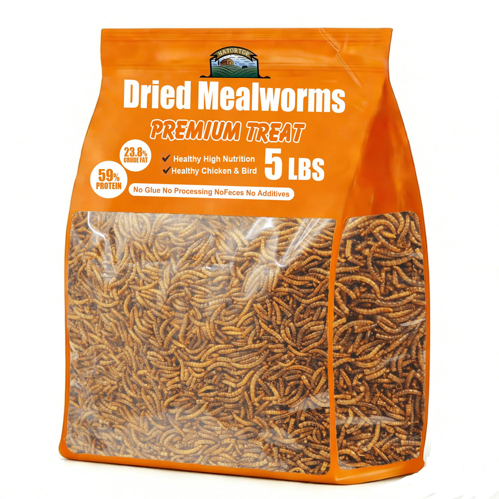 HATORTOP 5LB dried mealworms in bag for convenient chicken nutrition