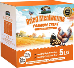 HATORTOP dried mealworms closeup showing crispy texture