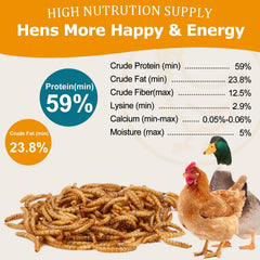 HATORTOP mealworms chicken feed serving ready to scoop for hens