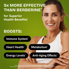 HealMeal Dihydroberberine label emphasizes cinnamon for improved bioavailability.