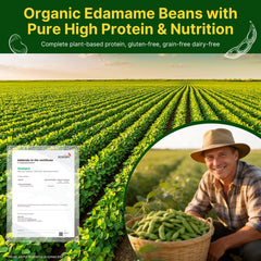 Healspot Organic Edamame close-up—dry-roasted, oil-free, flavorful
