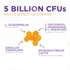 Health Nutrition Naturals probiotic gummies ingredient list highlights Bacillus coagulans and lactobacillus.