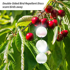 Hedoc Double-Sided Disc Hanging Setup enables flexible placement and coverage.