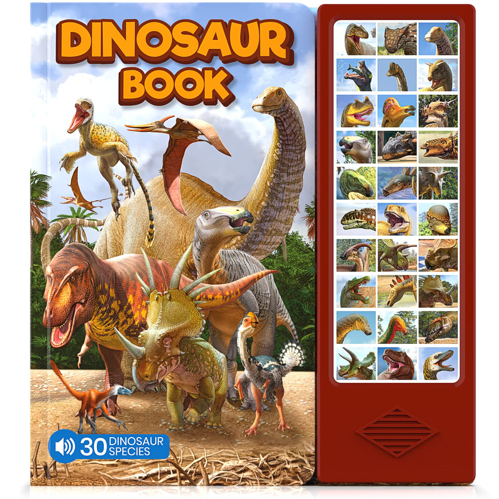 Hemalleon dinosaur book front cover with vivid art to engage young learners.