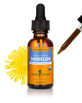 Herb Pharm Dandelion liquid extract bottle showing alcohol-free glycerite for easy daily use