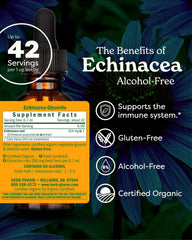 Herb Pharm Echinacea label close-up highlights organic non-GMO formulation.