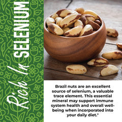 Herbaila Brazil nuts in a serving bowl highlighting buttery texture and crunch.