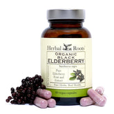 Herbal Roots Black Elderberry Capsules bottle for daily immune support.