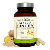 Herbal Roots Ginger Supplement bottle front for convenient daily digestion support.