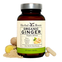 Herbal Roots Ginger Supplement bottle front for convenient daily digestion support.
