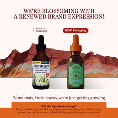 Herbs Etc. ChlorOxygen bottle pour demonstrates alcohol-free chlorophyll concentrate easy to mix.