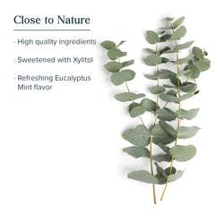 HERITAGE STORE bottle emphasizing eucalyptus and fresh mint flavor cues