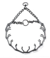 Herm Sprenger prong collar in full view for consistent, controlled training pressure.