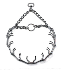 Herm Sprenger prong collar in full view for consistent, controlled training pressure.