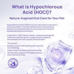 HICC PET Gel Dentaire, nettoyage des dents et gencives pour bouche saine.