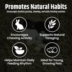 High Desert alfalfa hay—pure ingredients, no additives, favored by small pets.