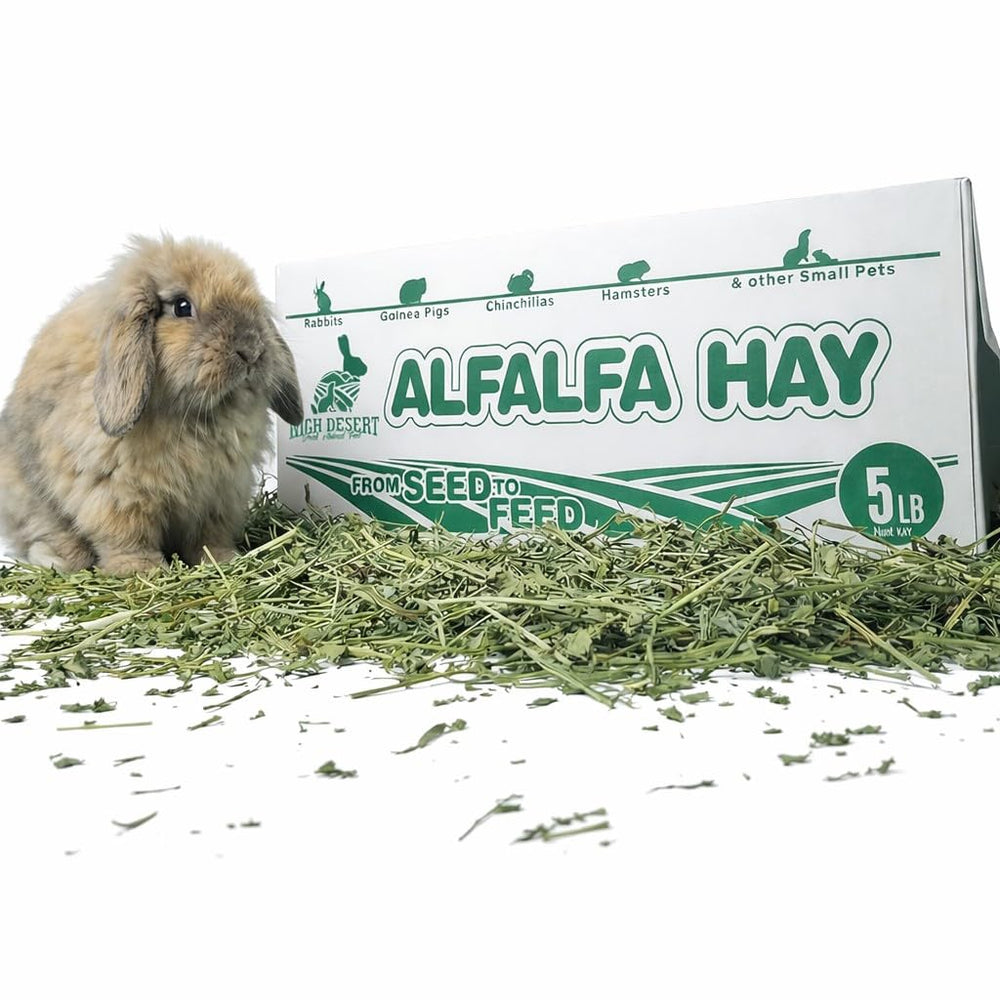 High Desert alfalfa hay with soft leaves in a box, ideal for young pets.
