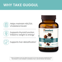 Himalaya Guggul oleo gum resin extract detail for potency.