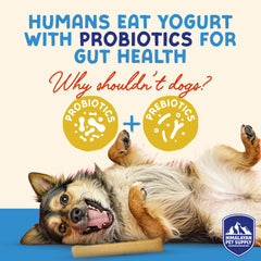 Himalayan Dog Chew Yogurt Sticks natural ingredients and probiotic blend close-up