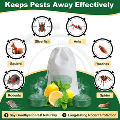 HLISIS kitchen area placement shows safe, family-friendly pest deterrence
