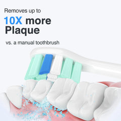 HOFAM heads attaching to Sonicare handle with snap-on fit