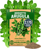 HOME GROWN arugula seeds pack 2175 bundle for lush outdoor garden harvests.