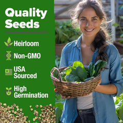 HOME GROWN Bloomsdale spinach leaves harvest image ideal for salads