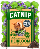 HOME GROWN catnip seeds bulk pack ready for indoor planting with high germination potential.