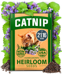 HOME GROWN catnip seeds bulk pack ready for indoor planting with high germination potential.