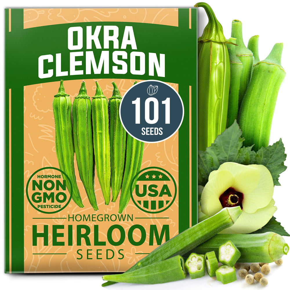 HOME GROWN Clemson Spineless okra seeds pack ready for planting and high germination