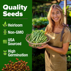 HOME GROWN Contender seed close-up, open-pollinated heirloom quality