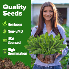 HOME GROWN Culantro seed closeup shows seed quality for reliable germination.