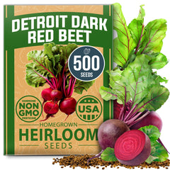 HOME GROWN Detroit Dark Red Beet Seeds roots ready for uniform globe harvest.