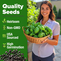 Home Grown Genovese basil seeds ideal for indoor grow-light setups and germination.