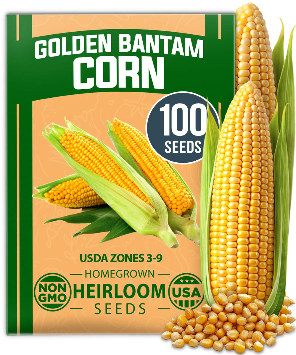 HOME GROWN Golden Bantam seeds pack for easy home planting