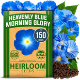 HOME GROWN Heavenly Blue Morning Glory seed pack for easy starting and vibrant garden color.