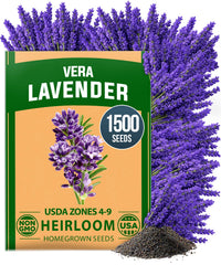 HOME GROWN lavender seeds packet shown for easy home planting and vibrant blooms