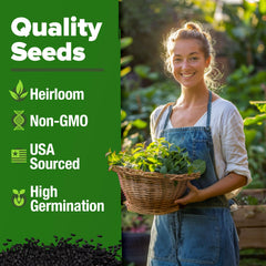HOME GROWN Lemon Balm Seeds in pots support compact, container-friendly growth.
