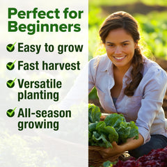 HOME GROWN Lettuce Seeds Bibb heads forming tender leaves.