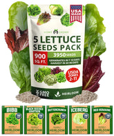 HOME GROWN Lettuce Seeds Five Variety Pack ready for year-round salads.