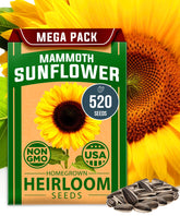 HOME GROWN Mammoth sunflower seeds bulk packet for quick, large-scale planting.
