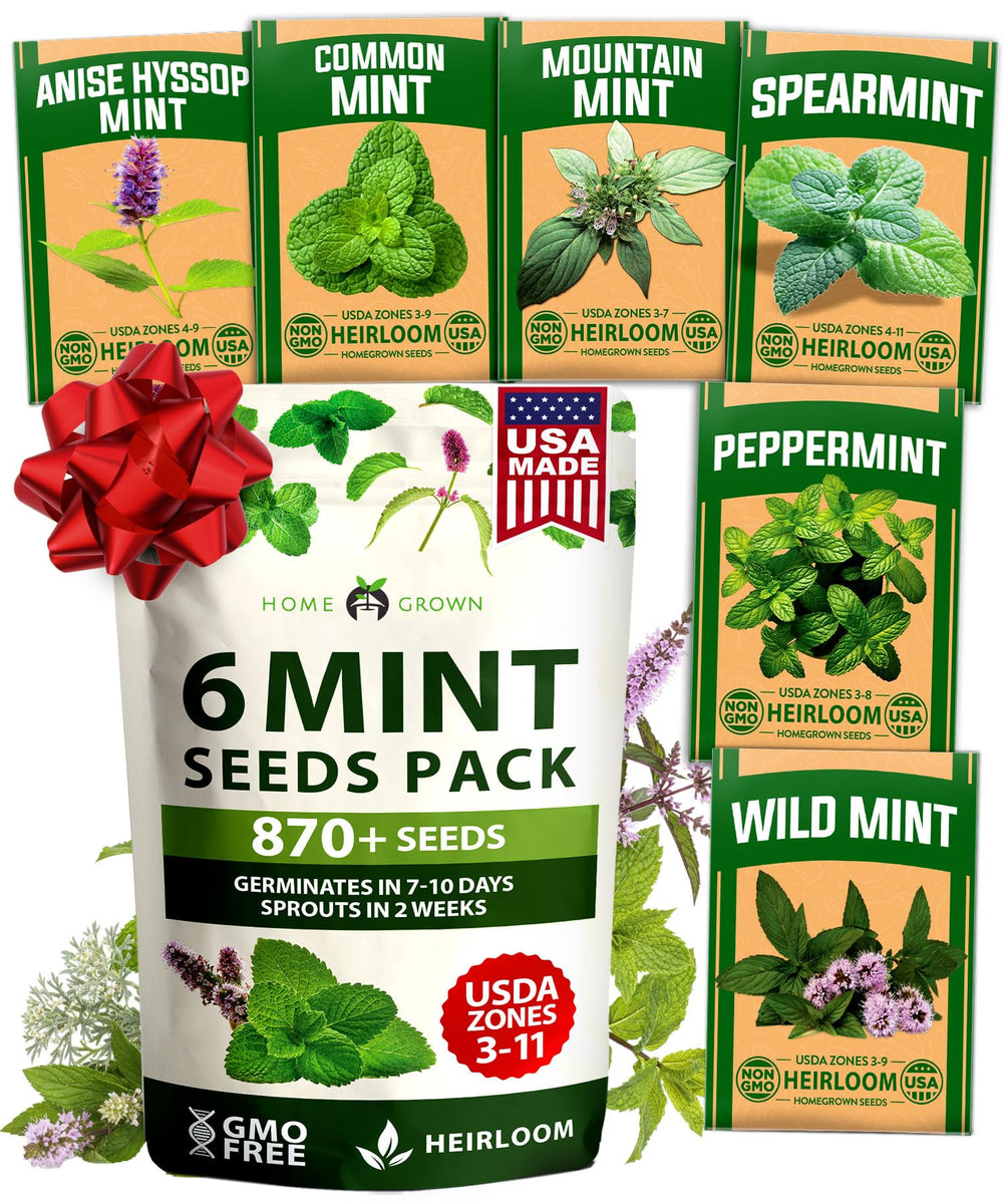 HOME GROWN Mint Seeds Variety Pack image showing six varieties for versatile gardening