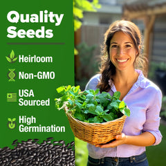 HOME GROWN peppermint seeds show high germination for robust mint