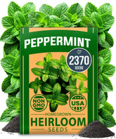 HOME GROWN peppermint seeds pack front, ideal for starting a fragrant herb garden.