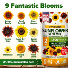 HOME GROWN Sunflower Seeds Mix Pack garden bed planting demonstrates easy sowing for beginners