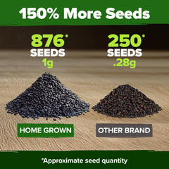 HOME GROWN Thai Basil Seeds 438-seed count highlights high-yield herb gardens.