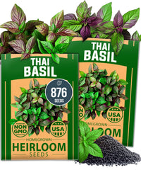 HOME GROWN Thai Basil Seeds Pack Cover promotes reliable herb gardening for beginners.